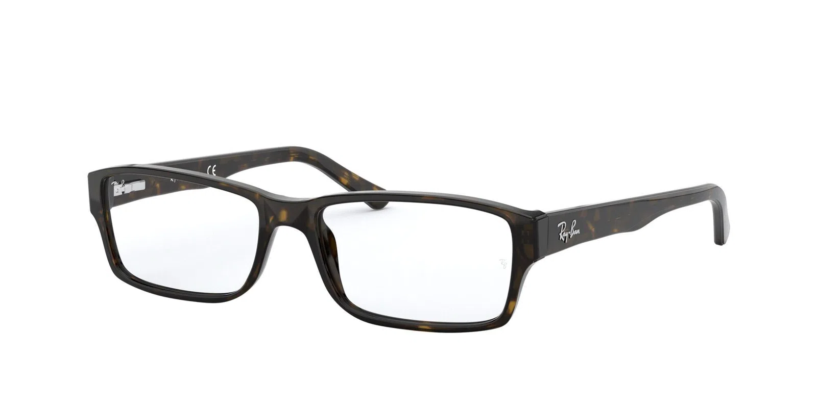 Ray-Ban 5169 Eyeglasses - view 73